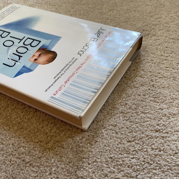 Born To Buy by Juliet Schor - Picture 4 of 7